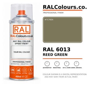 RAL 6013 Reed green Spray Paint Aerosol Can 400ml 400ml aerosol spray paint