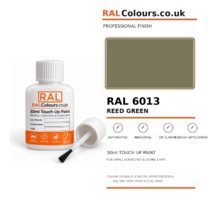 RAL 6013 Reed green Touch Up Paint