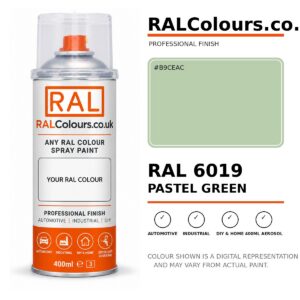 RAL 6019 Pastel green Spray Paint Aerosol Can 400ml 400ml aerosol spray paint